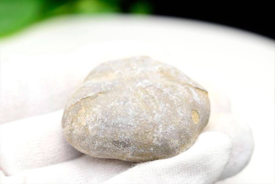 ウニ 化石 ブンブク 棘皮動物 ハートウニ 花模様 うにの化石 原石 モロッコ 天然石 パワーストーン