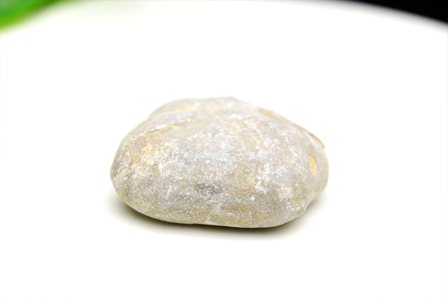 ウニ 化石 ブンブク 棘皮動物 ハートウニ 花模様 うにの化石 原石 モロッコ 天然石 パワーストーン