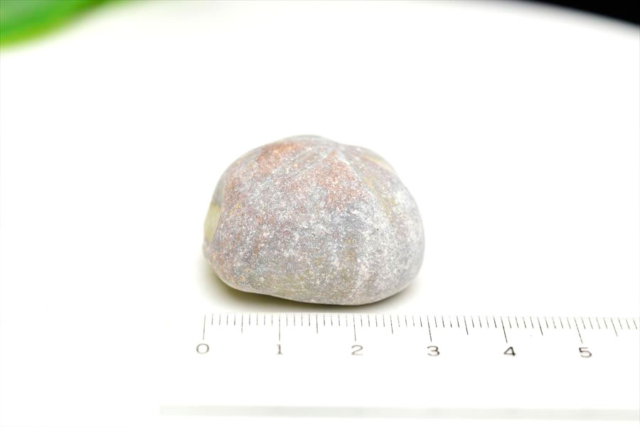 ウニ 化石 ブンブク 棘皮動物 ハートウニ 花模様 うにの化石 原石 モロッコ 天然石 パワーストーン