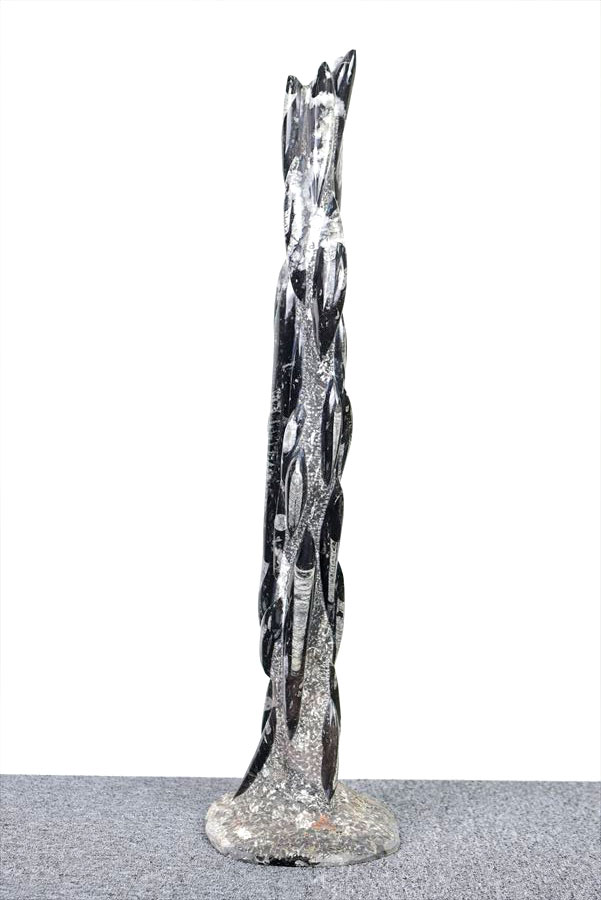 オルソセラス　直角貝　チョッカクガイ　化石　フォッシル　タワー　Orthoceras　インテリア　置物　オブジェ