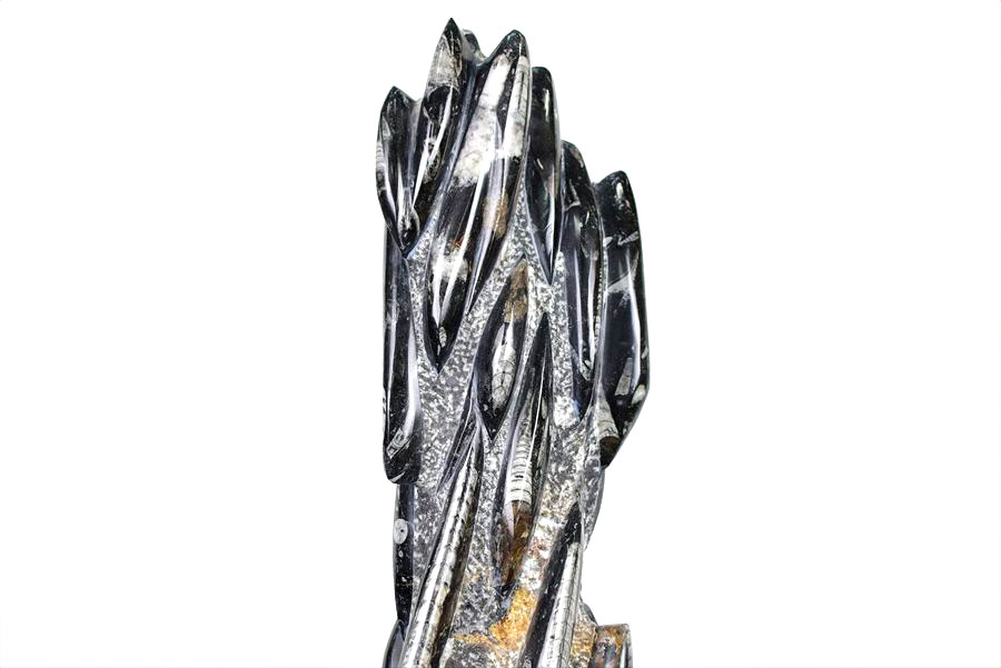 オルソセラス　直角貝　チョッカクガイ　化石　フォッシル　タワー　Orthoceras　インテリア　置物　オブジェ