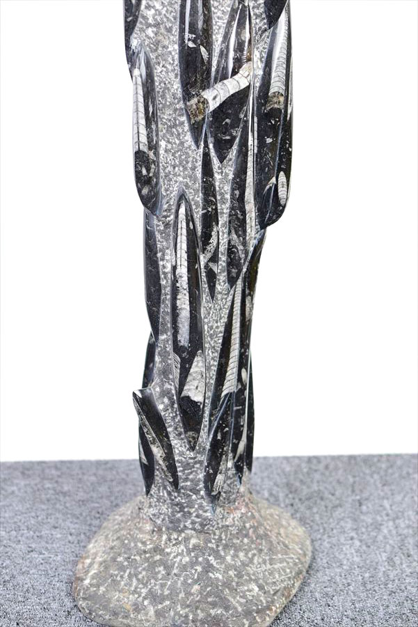 オルソセラス　直角貝　チョッカクガイ　化石　フォッシル　タワー　Orthoceras　インテリア　置物　オブジェ