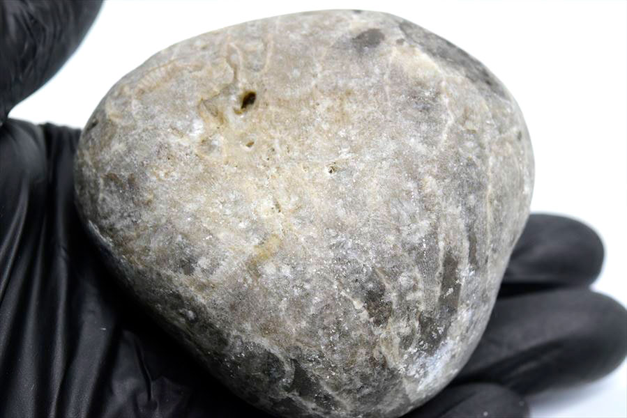 ペトスキーストーン　petoskey stone　ミシガン　オバマ大統領　珊瑚の化石　フォッシルコーラル　天然石　パワーストーン