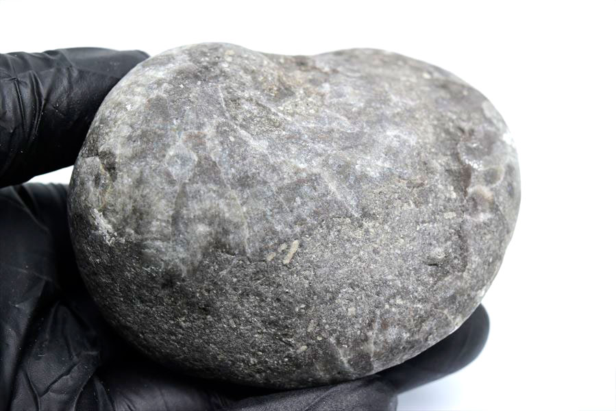 ペトスキーストーン　petoskey stone　ミシガン　オバマ大統領　珊瑚の化石　フォッシルコーラル　天然石　パワーストーン