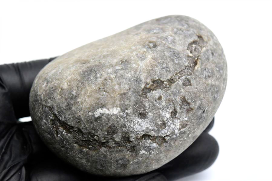 ペトスキーストーン　petoskey stone　ミシガン　オバマ大統領　珊瑚の化石　フォッシルコーラル　天然石　パワーストーン