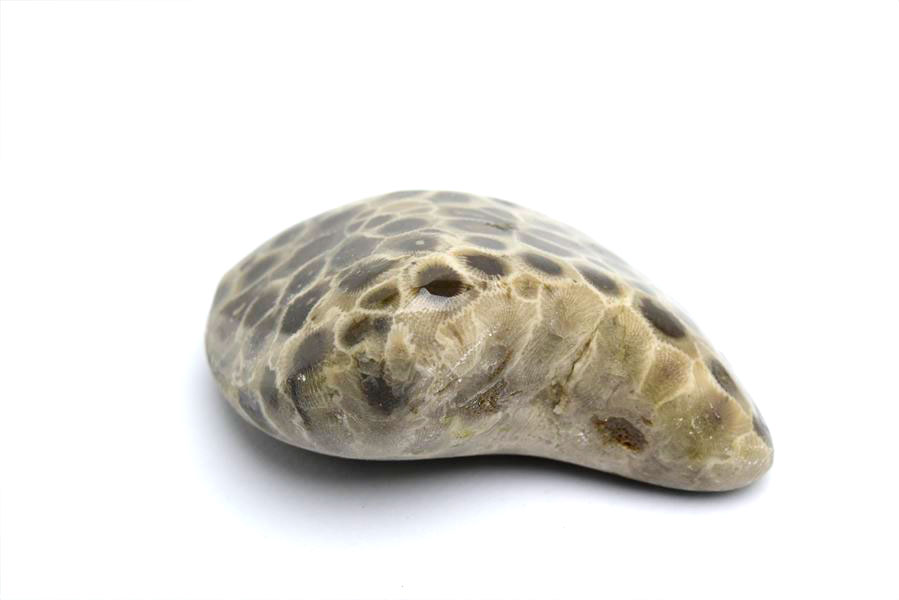 ペトスキーストーン　petoskey stone　ミシガン　オバマ大統領　珊瑚の化石　フォッシルコーラル　天然石　パワーストーン