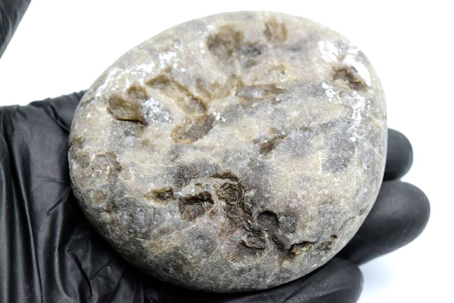 ペトスキーストーン　petoskey stone　ミシガン　オバマ大統領　珊瑚の化石　フォッシルコーラル　天然石　パワーストーン