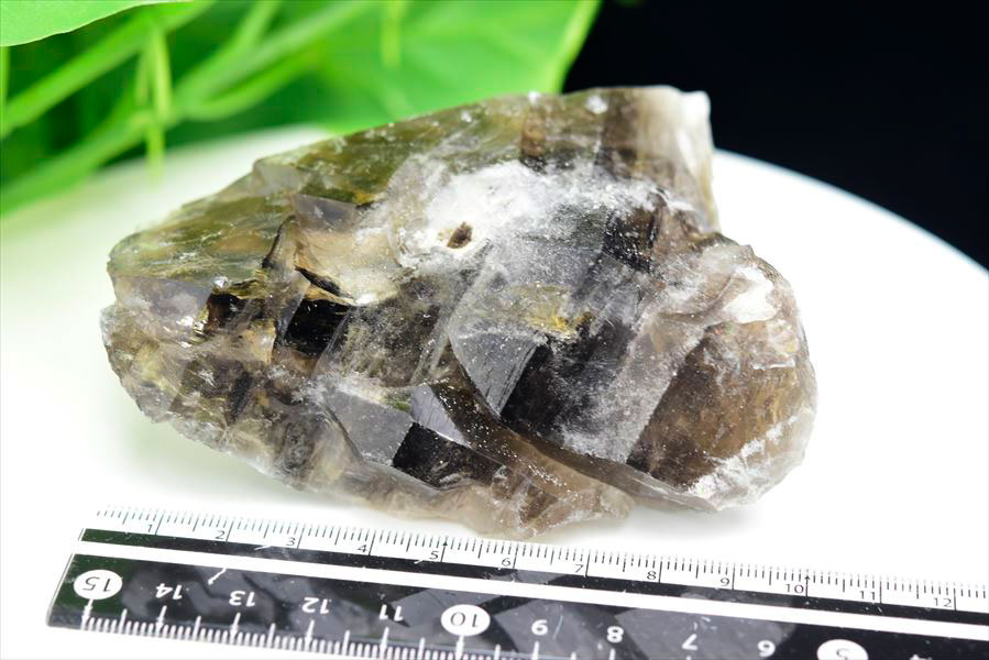 アリゲータークォーツ　ジャカレー水晶　エレスチャル　窓水晶　ワニ水晶　原石　結晶　置物　天然石　パワーストーン