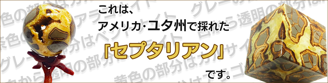 セプタリアン　アップストーン　オンビル