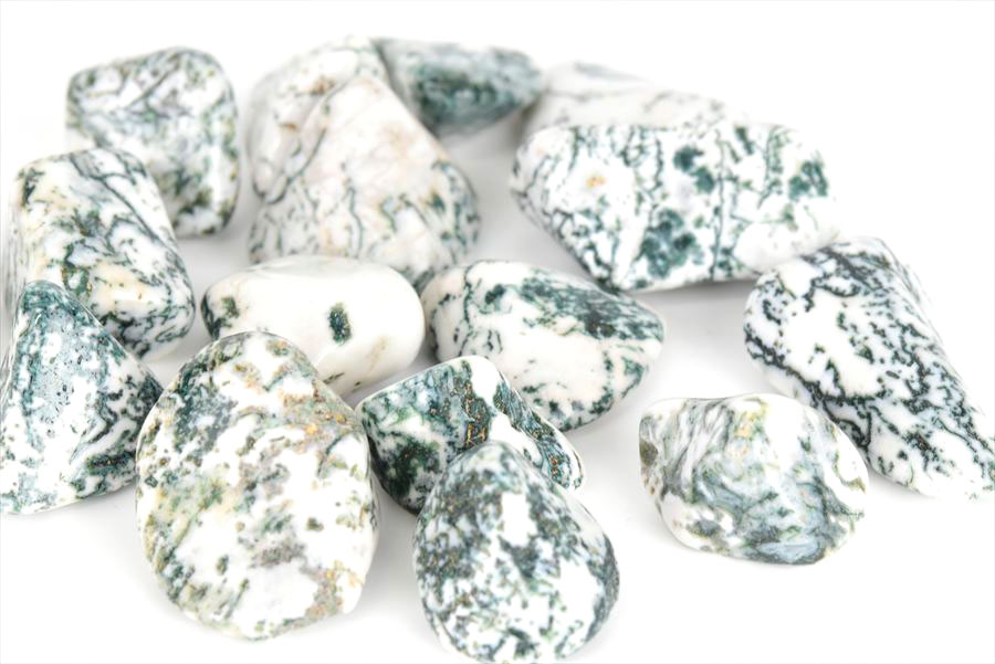 ツリーアゲート　タンブル　樹木瑪瑙　めのう　ポリッシュ　磨き石　天然石　パワーストーン