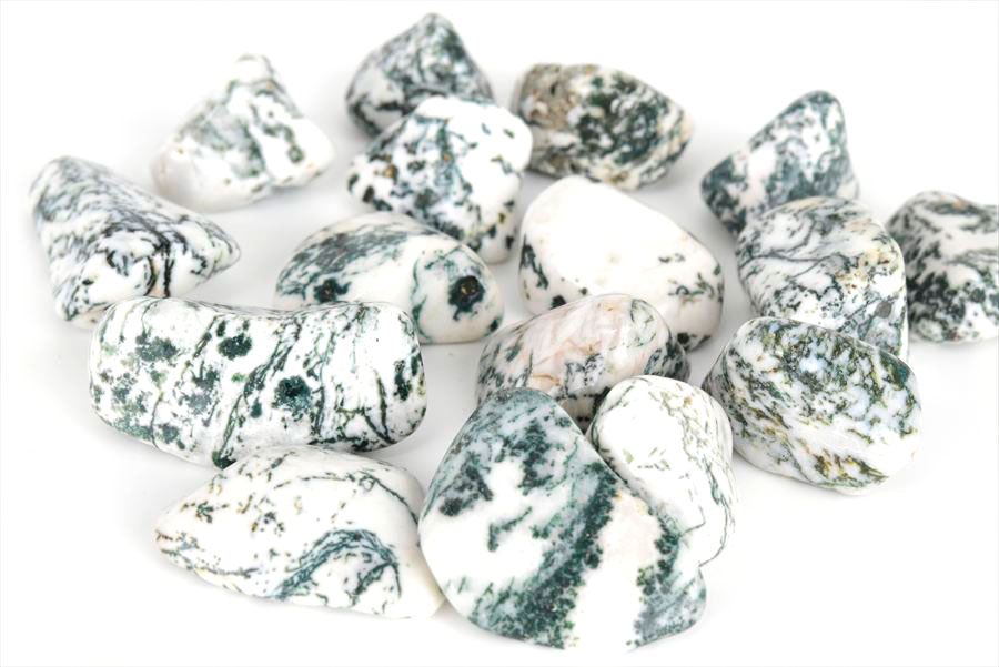 ツリーアゲート　タンブル　樹木瑪瑙　めのう　ポリッシュ　磨き石　天然石　パワーストーン