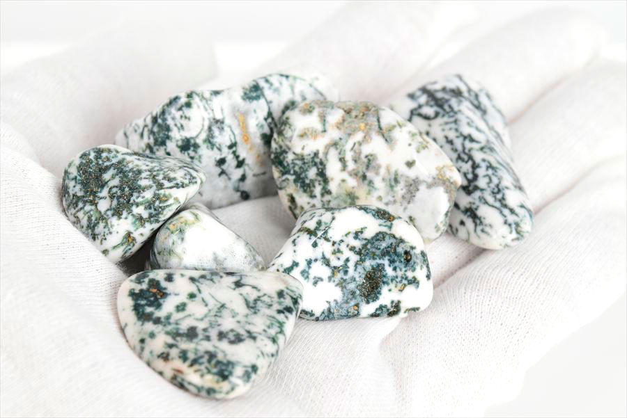 ツリーアゲート　タンブル　樹木瑪瑙　めのう　ポリッシュ　磨き石　天然石　パワーストーン