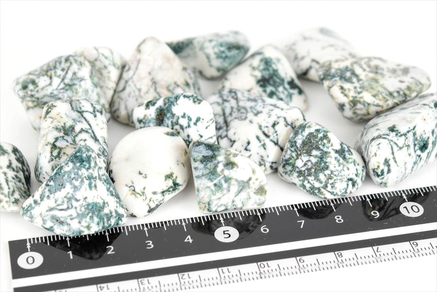 ツリーアゲート　タンブル　樹木瑪瑙　めのう　ポリッシュ　磨き石　天然石　パワーストーン