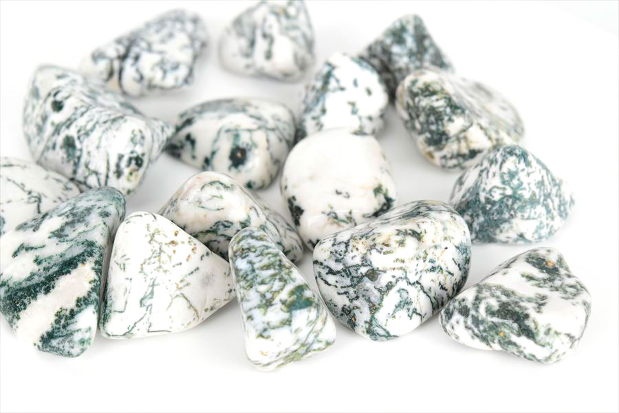 ツリーアゲート　タンブル　樹木瑪瑙　めのう　ポリッシュ　磨き石　天然石　パワーストーン