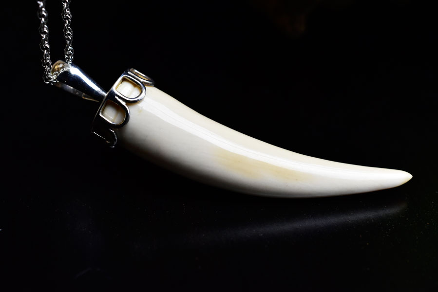 マンモスの牙　化石　manmoth ivory　ペンダント　マンモスアイボリー　シルバーアクセサリー　ペア　ネックレス