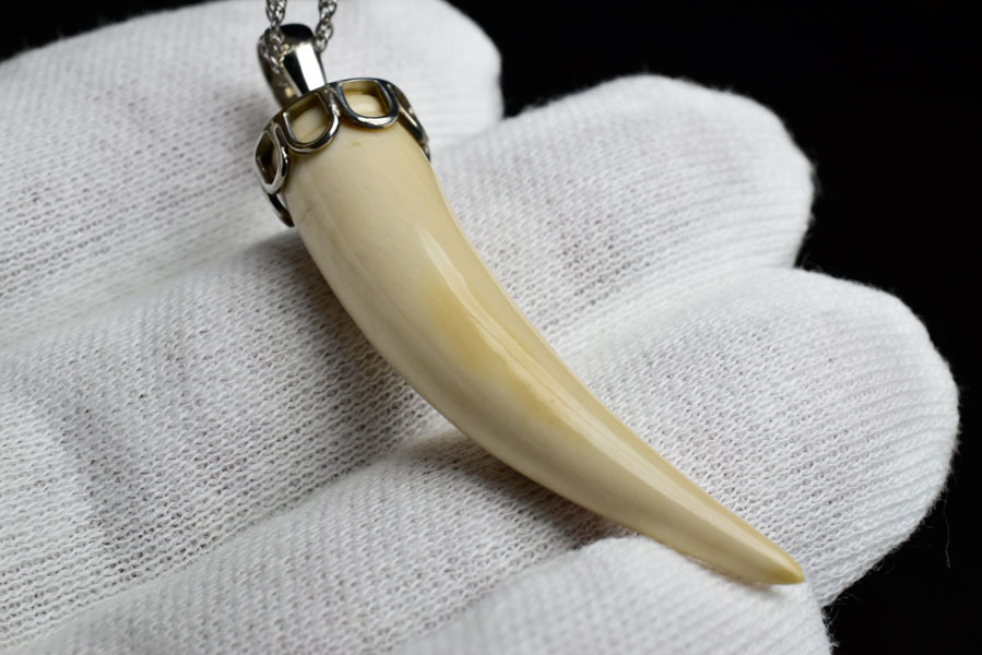 マンモスの牙　化石　manmoth ivory　ペンダント　マンモスアイボリー　シルバーアクセサリー　ペア　ネックレス