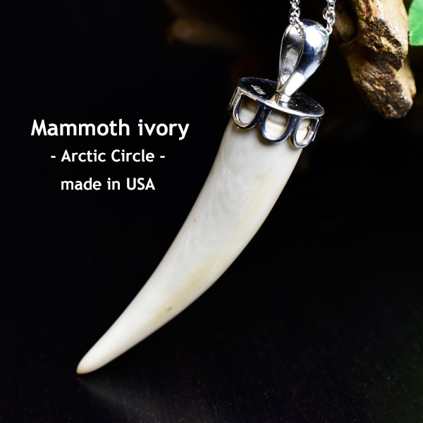 マンモスの牙　化石　manmoth ivory　ペンダント　マンモスアイボリー　シルバーアクセサリー　ペア　ネックレス