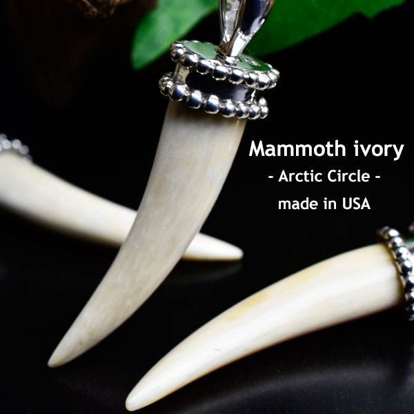 マンモスの牙　化石　manmoth ivory　ペンダント　マンモスアイボリー　シルバーアクセサリー　ペア　ネックレス