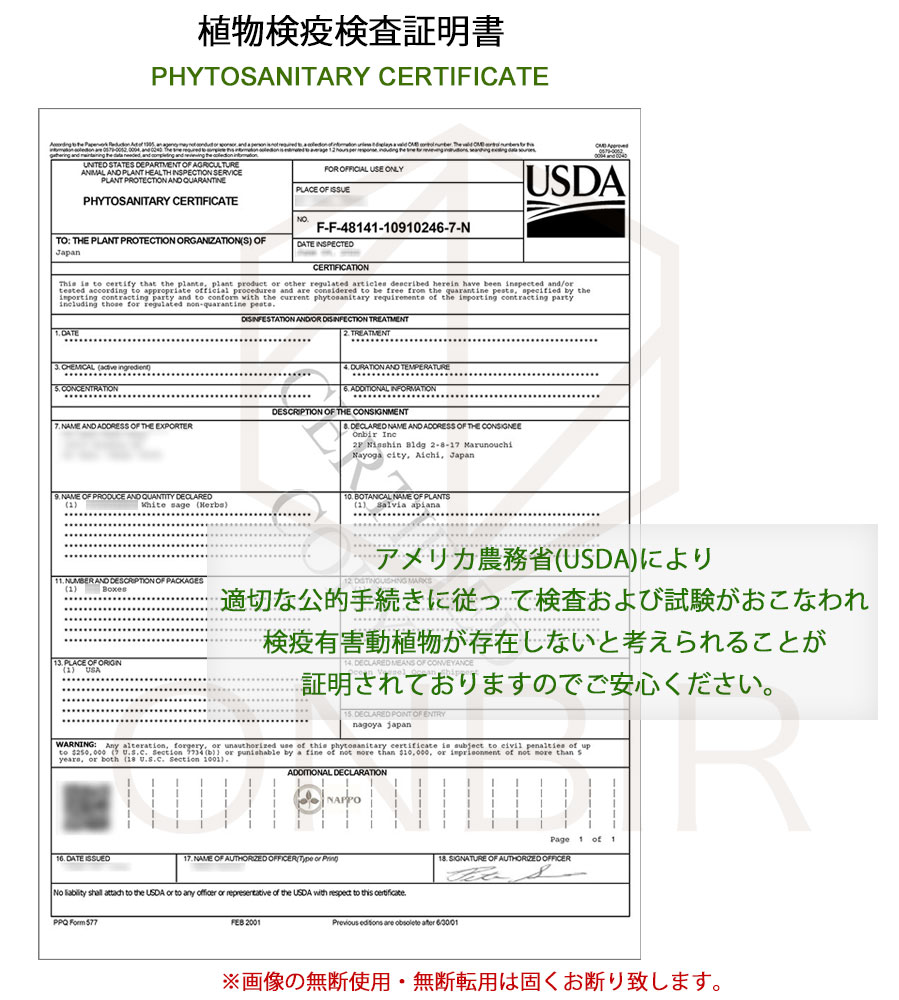 ホワイトセージ　植物検疫証明書